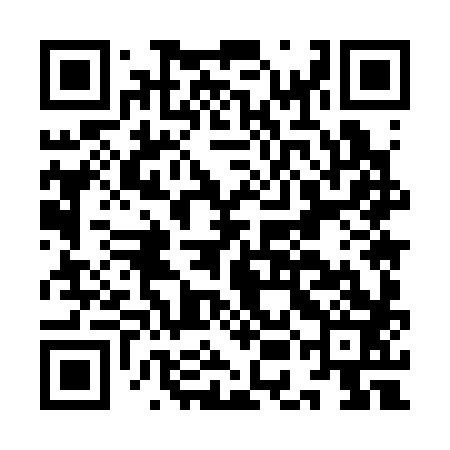 QR code for IEM383