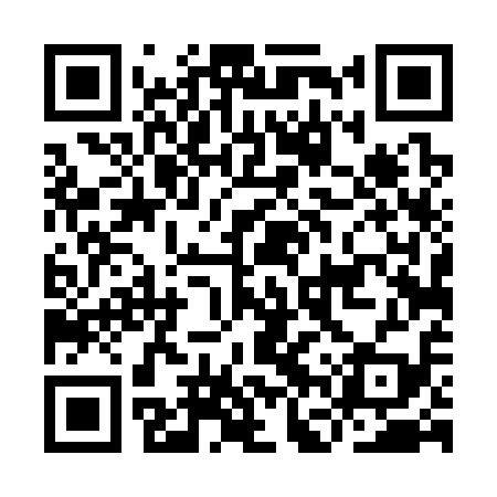 QR code for IFT319