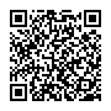 QR code for IFV529