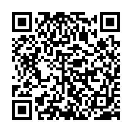 QR code for IGC313
