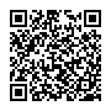 QR code for IIA203