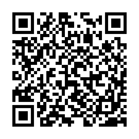 QR code for IIB317