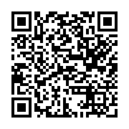 QR code for IIC323