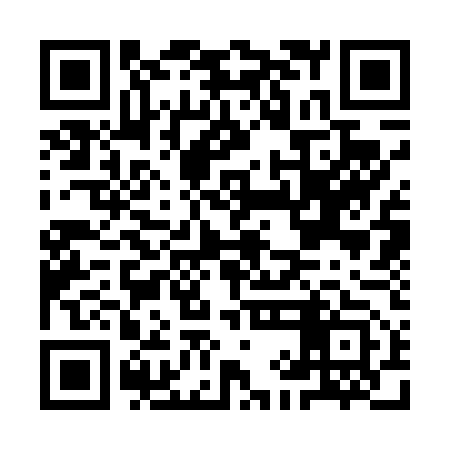 QR code for IIC453