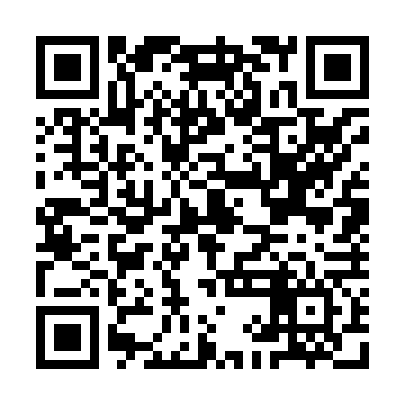 QR code for IIG866