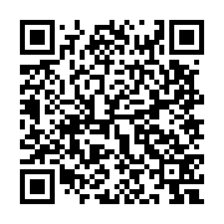 QR code for IIJ573
