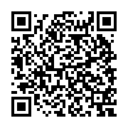 QR code for IIN210