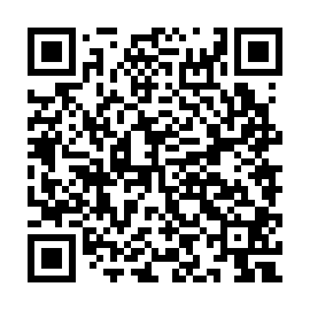 QR code for IIN300
