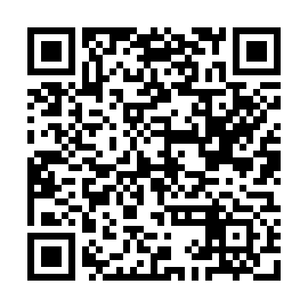 QR code for IIN373