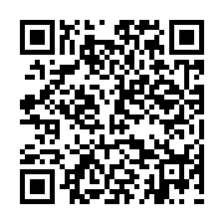 QR code for IIN938