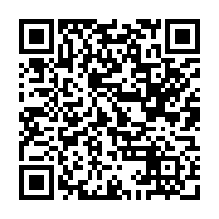 QR code for IIN971