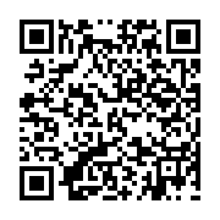 QR code for IIO317