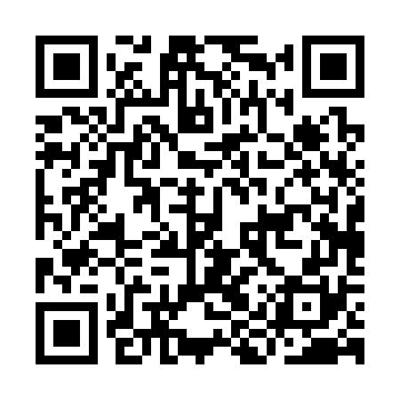 QR code for IIP370