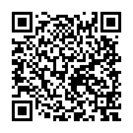 QR code for IIP598