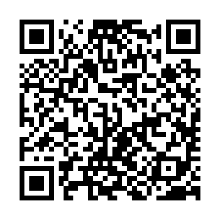 QR code for IIR299