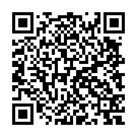 QR code for IIT433