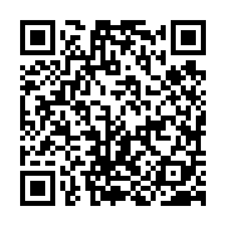 QR code for IIZ609