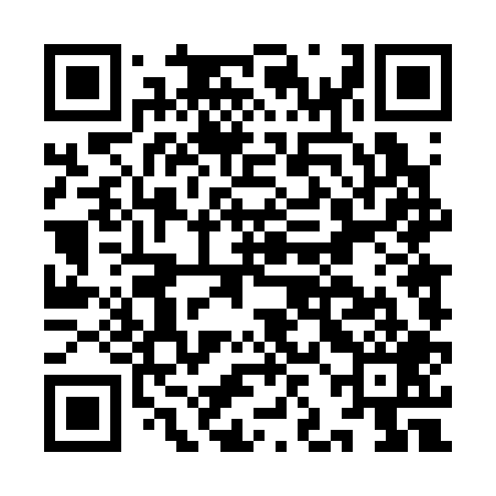 QR code for IJD309