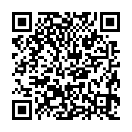 QR code for IJS771