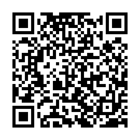 QR code for IJT513