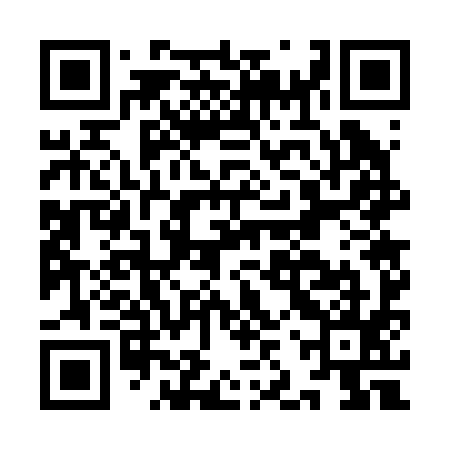 QR code for IJW295