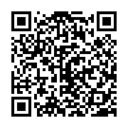 QR code for IMD038