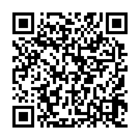 QR code for INI318
