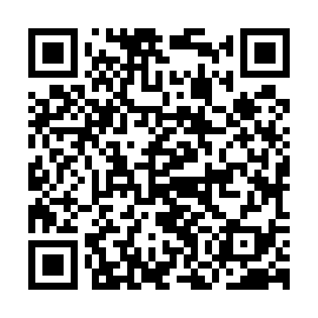 QR code for IOJ539