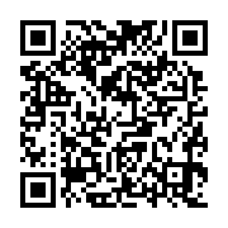 QR code for IPF371