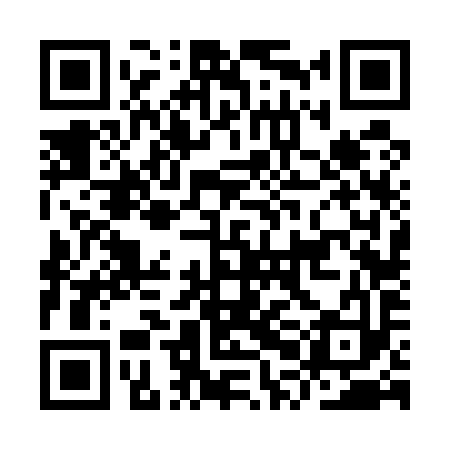 QR code for IPF593