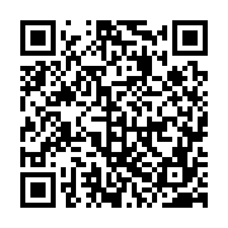 QR code for IPN376