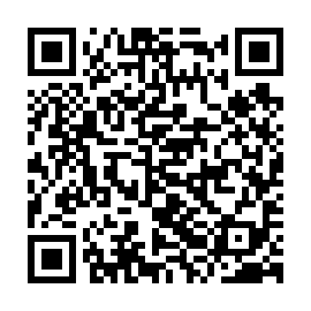 QR code for IRG699