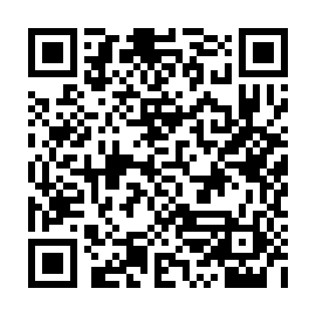 QR code for IRI382