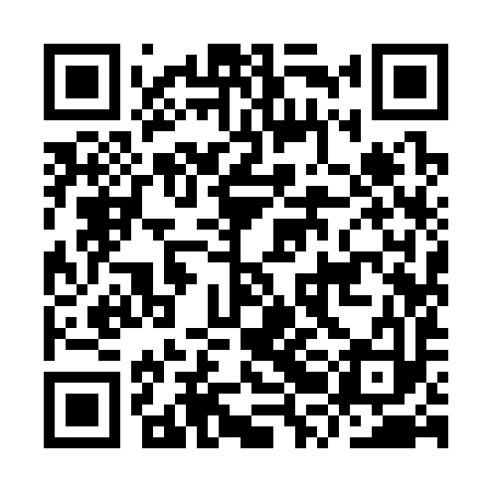 QR code for IRI393
