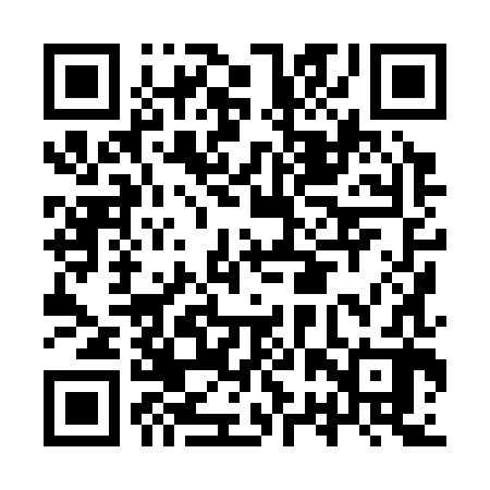 QR code for IRX382