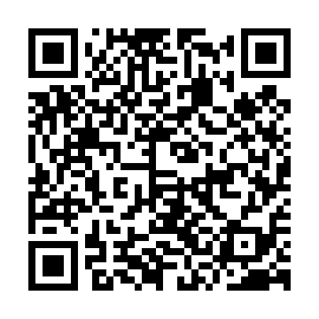 QR code for ISG419