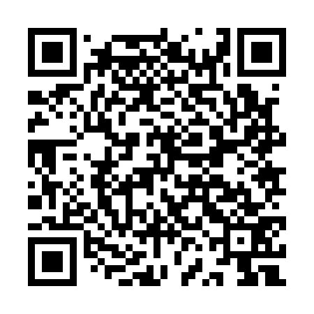 QR code for IVJ173