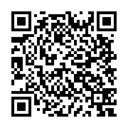 QR code for IVO539
