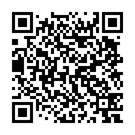 QR code for IYS439