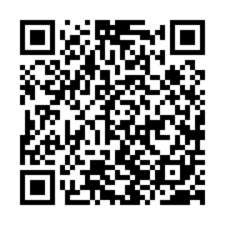 QR code for IZH101
