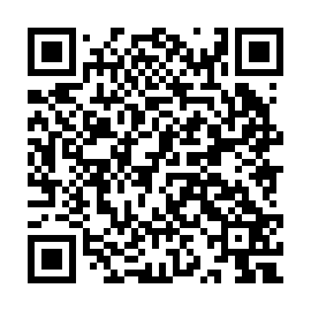 QR code for IZH223