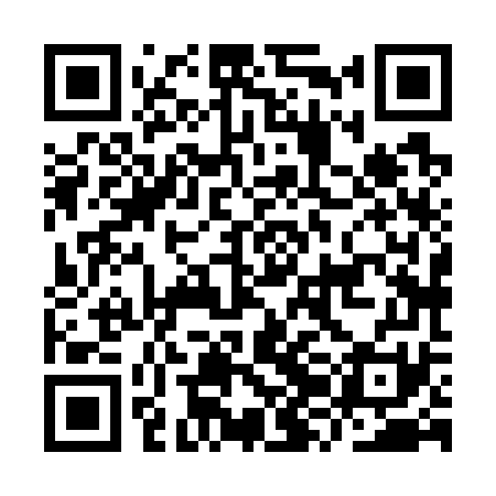 QR code for IZH771