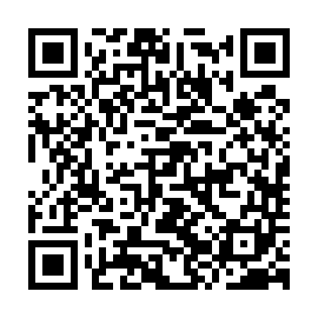 QR code for IZR541