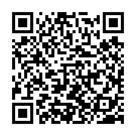 QR code for IZR638