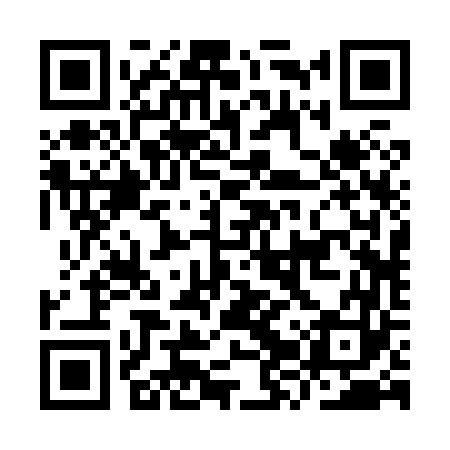 QR code for IZR863