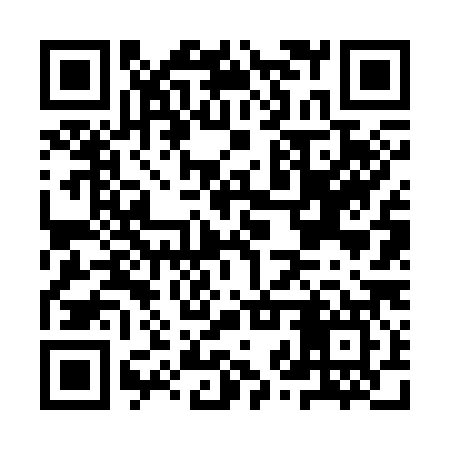 QR code for IZV387