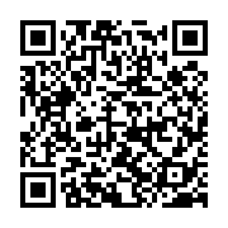 QR code for IZV538