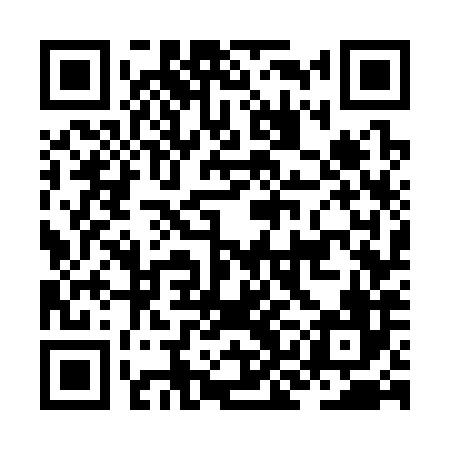 QR code for JKG386