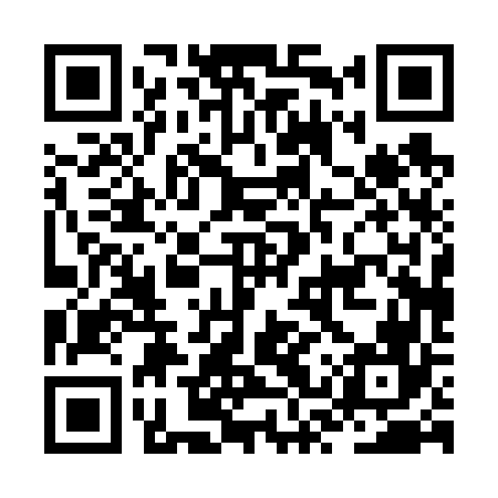 QR code for JSP666