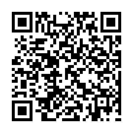 QR code for KAG383